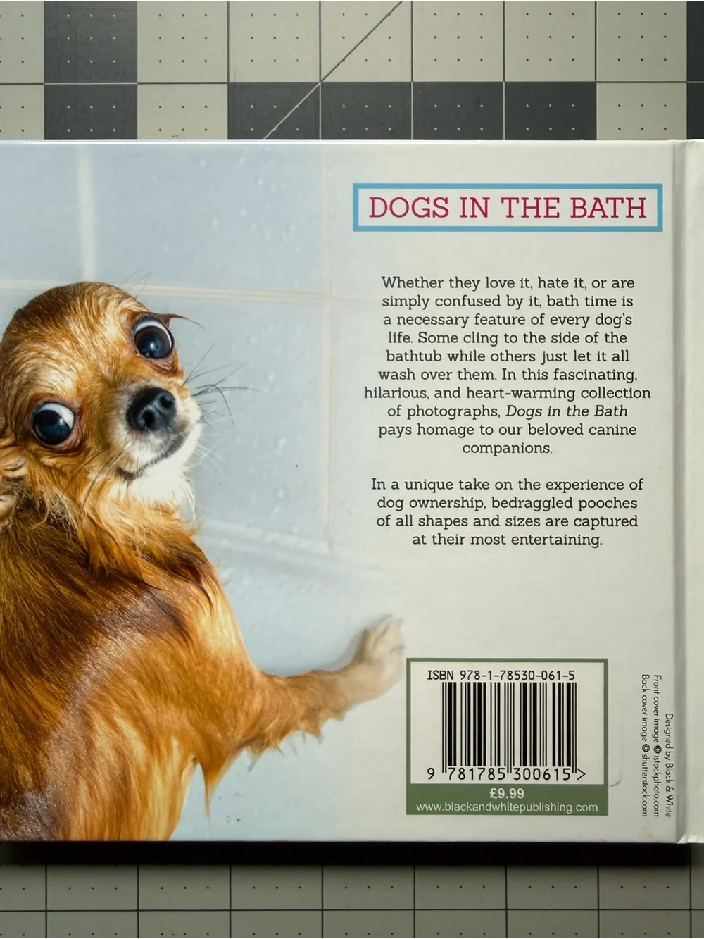 Dog Bathing Bundle with Shampoo Conditioner and Hardcover Book